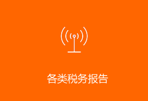 各类税务报告